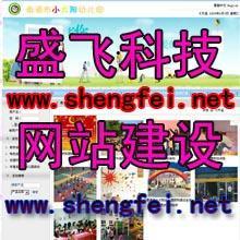 鄭州盛飛科技公司 專業網站建設，以視覺之美賦能品牌形象